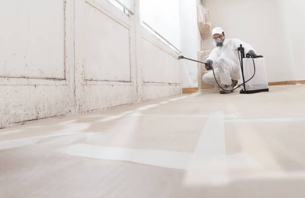 24/7 Emergency Mold Remediation experts in Maryville, IL
