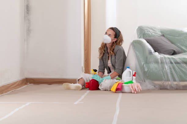 Reliable Mold Remediation contractor in Maryville, IL by 24 Hour Mold Removal